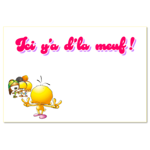 Ici il y a de la meuf